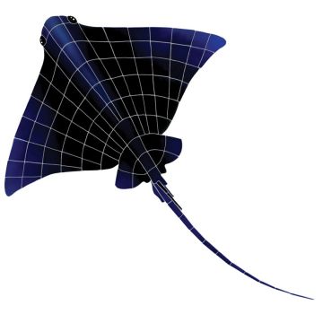 Artistry In Mosaics Ray Porcelain Pool Design 45" x 32"