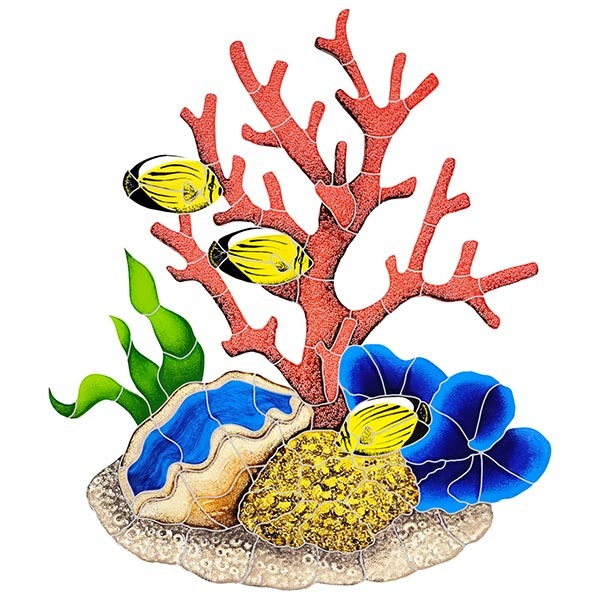 Reef Scenes