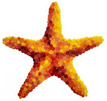 Artistry In Mosaics Starfish Porcelain Pool Design 10" x 10"