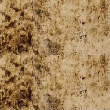 Boheme Brown