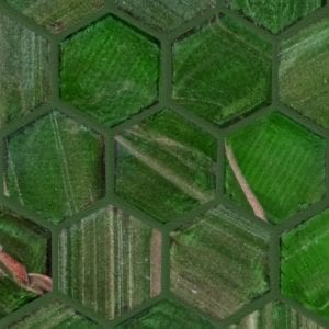 Trend Hexagonal 236