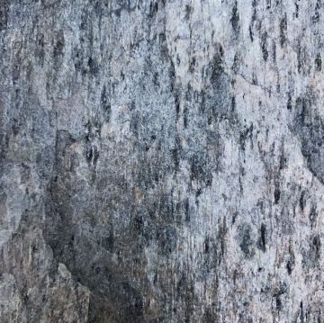 Silver Shine Gold